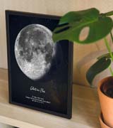 Ein Mond-Poster hinter einer Pflanze