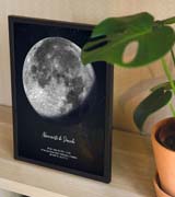 Un póster de fases de la luna detrás de una planta