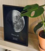 Une affiche Lune de naissance derrière une plante