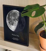 Un poster della Luna dietro una pianta