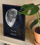 Plakat Księżyca za rośliną