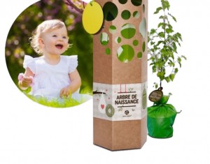 Arbre à planter bébé naissance